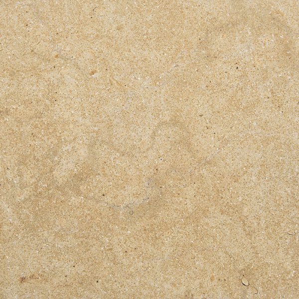 golden-shellstone-limestone