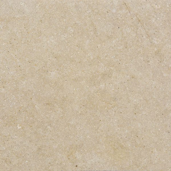 grey-shellstone-limestone
